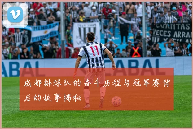 成都排球队的奋斗历程与冠军赛背后的故事揭秘