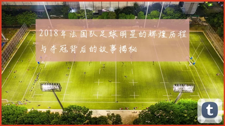 2018年法国队足球明星的辉煌历程与夺冠背后的故事揭秘