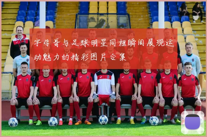 字母哥与足球明星同框瞬间展现运动魅力的精彩图片合集