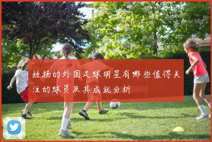 姓杨的外国足球明星有哪些值得关注的球员及其成就分析