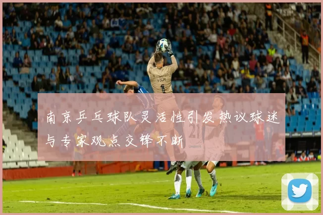 南京乒乓球队灵活性引发热议球迷与专家观点交锋不断