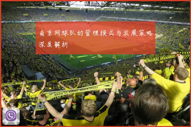 南京网球队的管理模式与发展策略深度解析