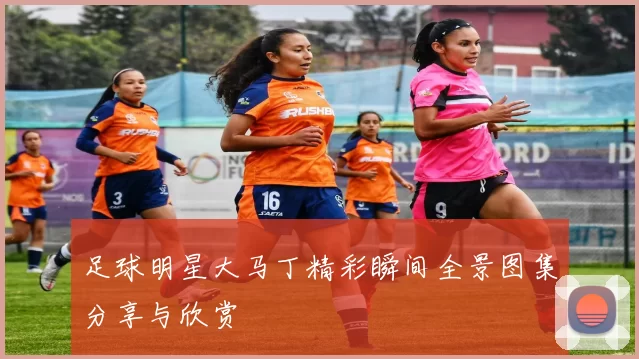 足球明星大马丁精彩瞬间全景图集分享与欣赏