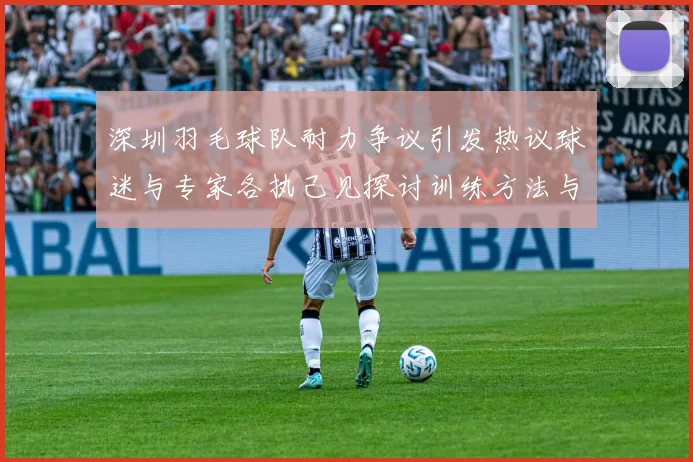 深圳羽毛球队耐力争议引发热议球迷与专家各执己见探讨训练方法与效果