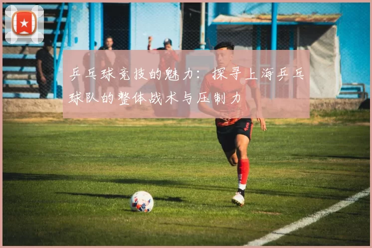 乒乓球竞技的魅力：探寻上海乒乓球队的整体战术与压制力