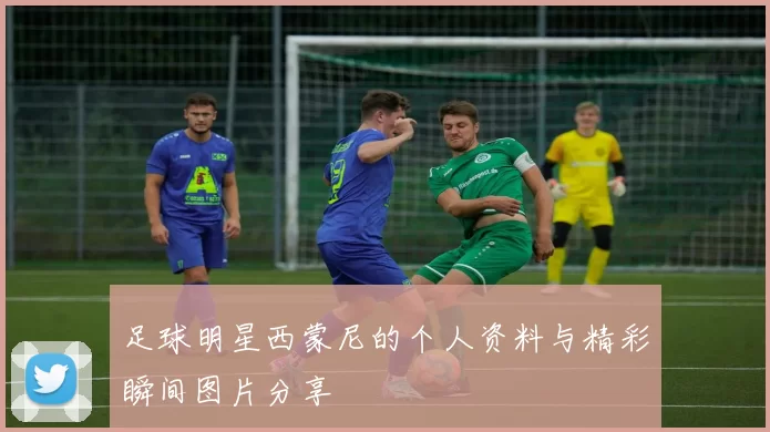 足球明星西蒙尼的个人资料与精彩瞬间图片分享