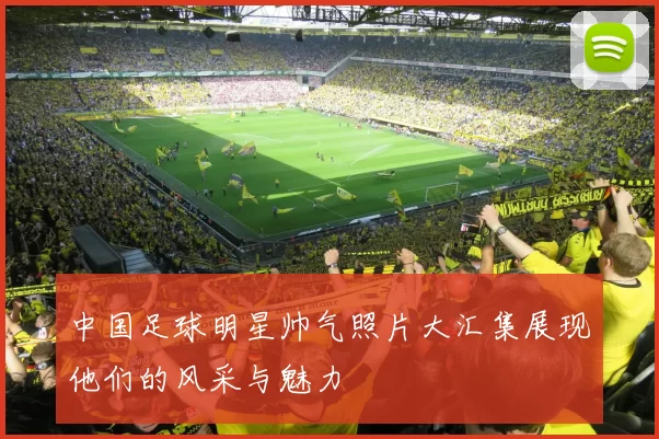 中国足球明星帅气照片大汇集展现他们的风采与魅力