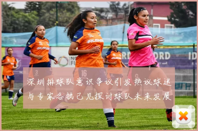 深圳排球队意识争议引发热议球迷与专家各执己见探讨球队未来发展