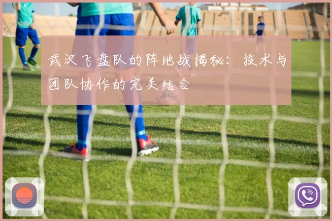 武汉飞盘队的阵地战揭秘：技术与团队协作的完美结合