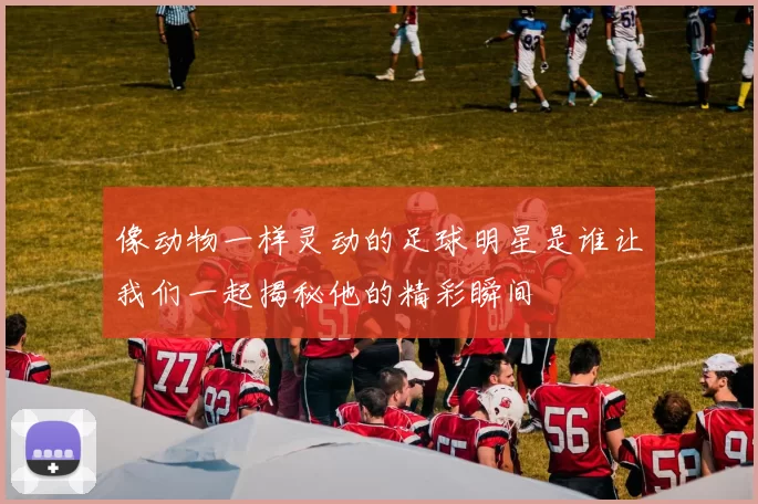 像动物一样灵动的足球明星是谁让我们一起揭秘他的精彩瞬间