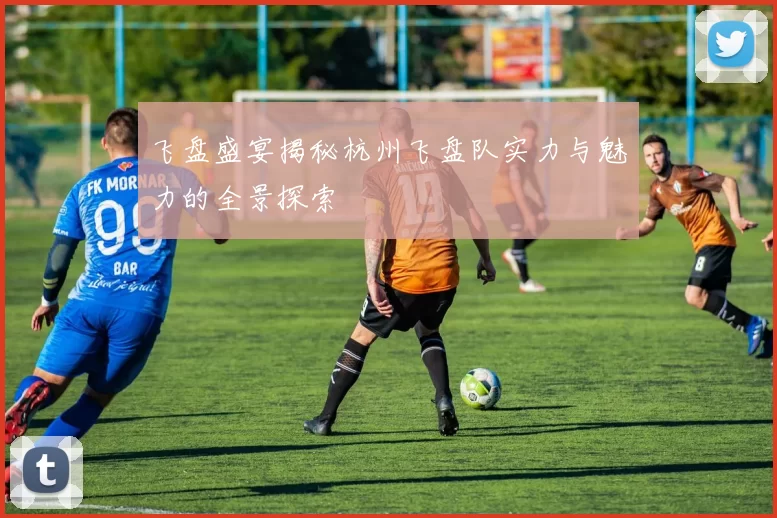 飞盘盛宴揭秘杭州飞盘队实力与魅力的全景探索