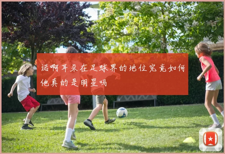 诺啊耳朵在足球界的地位究竟如何他真的是明星吗