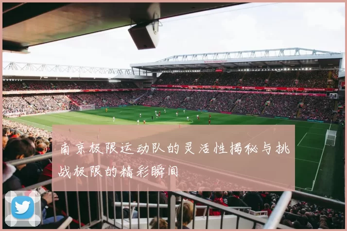 南京极限运动队的灵活性揭秘与挑战极限的精彩瞬间