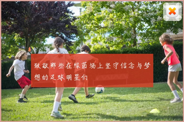 致敬那些在绿茵场上坚守信念与梦想的足球明星们