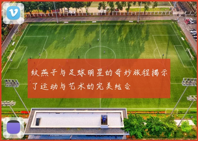 纹燕子与足球明星的奇妙旅程揭示了运动与艺术的完美结合